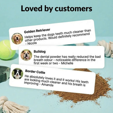 Dental Powder