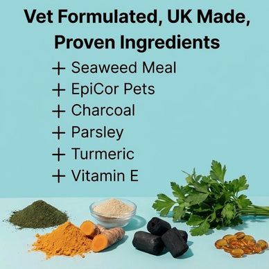 Dental Powder