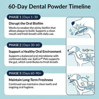 Dental Powder