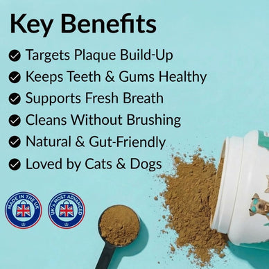 Dental Powder