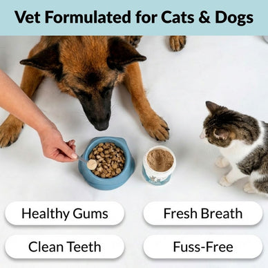 Dental Powder