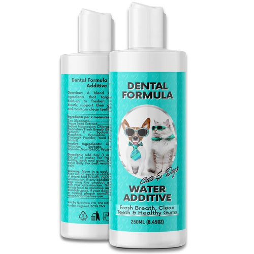 Dental Water - USA Made (10oz)