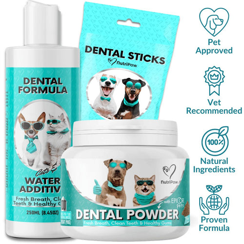 Dental Kit
