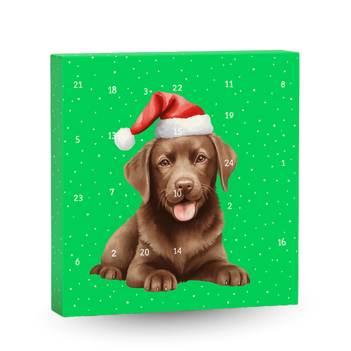 Dog Advent Calendar