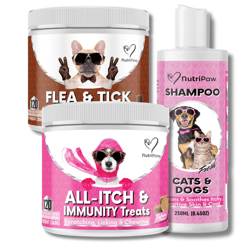 Flea & Itch Kit