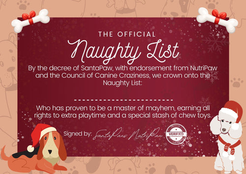 FREE Naughty Certificate
