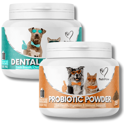 Gut & Teeth Powder Kit