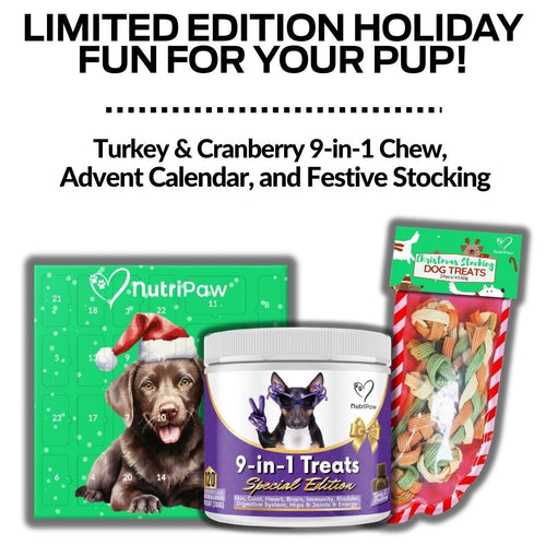 Holiday Treat Bundle