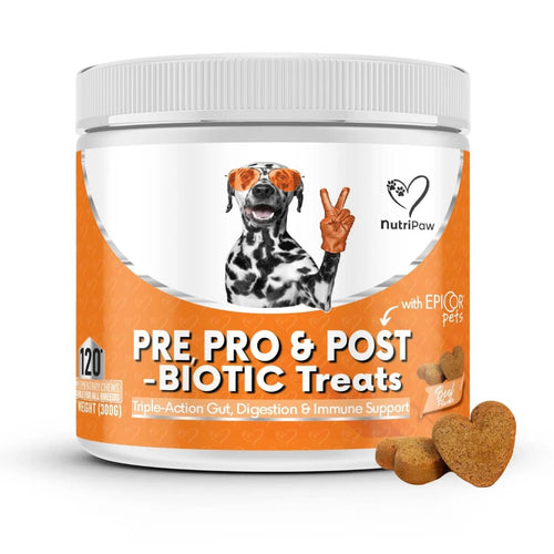 Pre, Pro & Postbiotic Digestive Treats