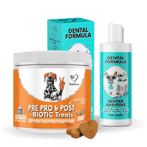 Teeth, Gums & Tums Kit
