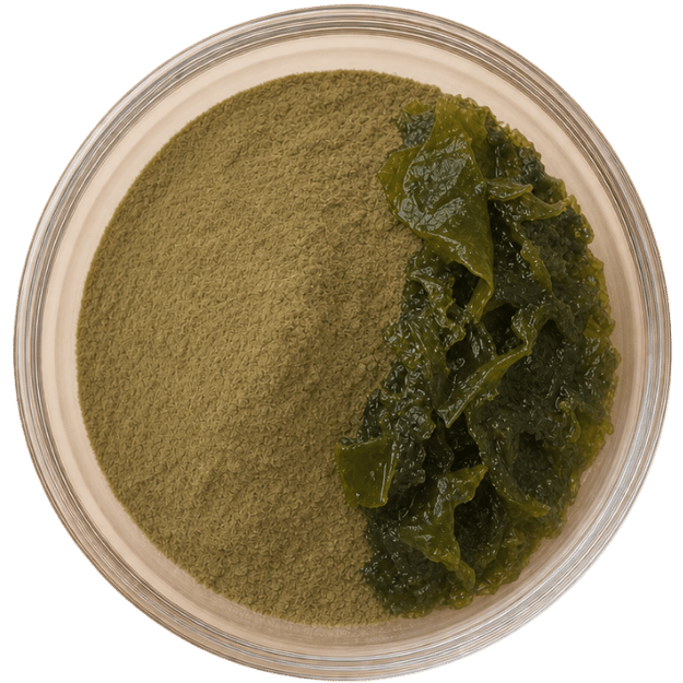 Seaweed Meal (Ascophyllum nodosum)